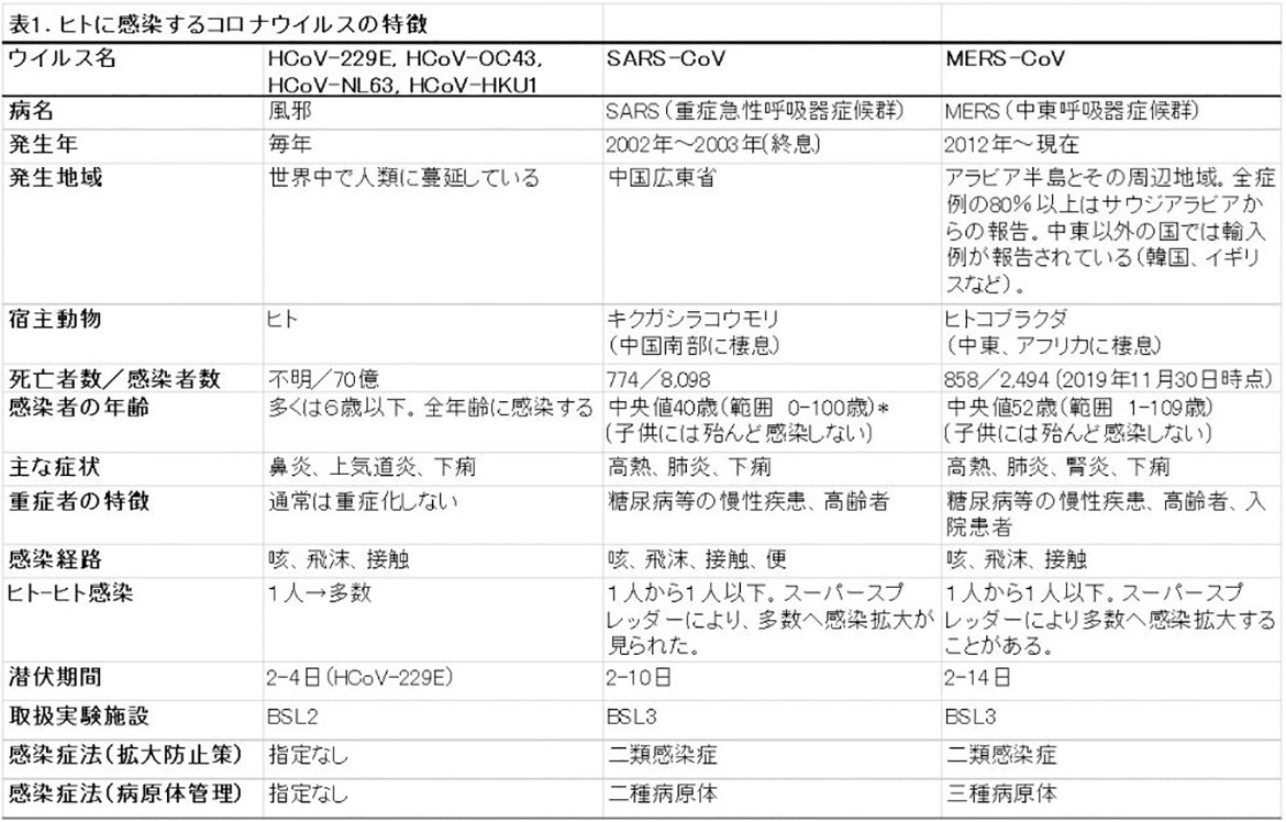 ヒトに感染するコロナウイルスの特徴